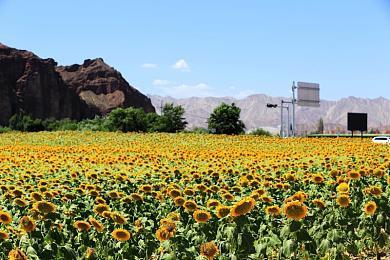 《末日地带2》Steam正式推出 末世生存据点建造